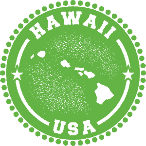 Hawaii Business Registration | Starting a Business in Hawaii | Team Hiploch